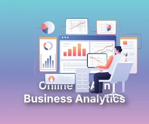 Online BBA in Business Analytics